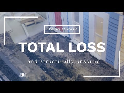 Tiny Termite House Reveals How Termites Destroy From Inside Out