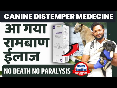 Canine Distemper Treatment At Home In Dogs | Symptoms | Recovery | Dog Distemper Treatment In Hindi
