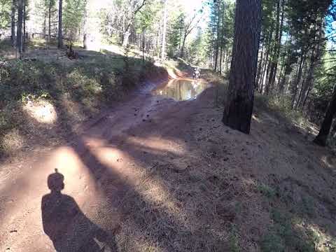 Mud Hole on the way to Bret Harte Hotel