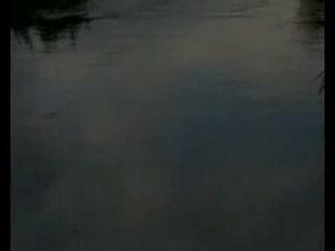 River of Light - Gordon Lightfoot