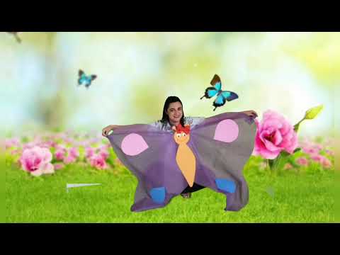 Musica: A lagarta comilona/ Metamorfose .(Educação Infantil)