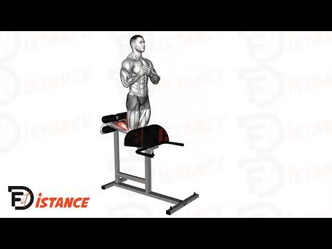 Exercice Glute-Ham Raise