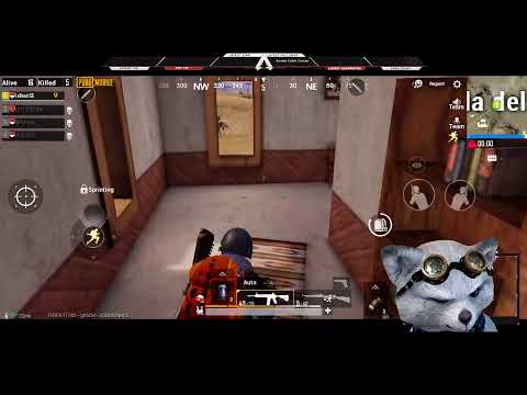 老鸡爸 绝地求生 PUBG MOBILE l Road to Conqueror