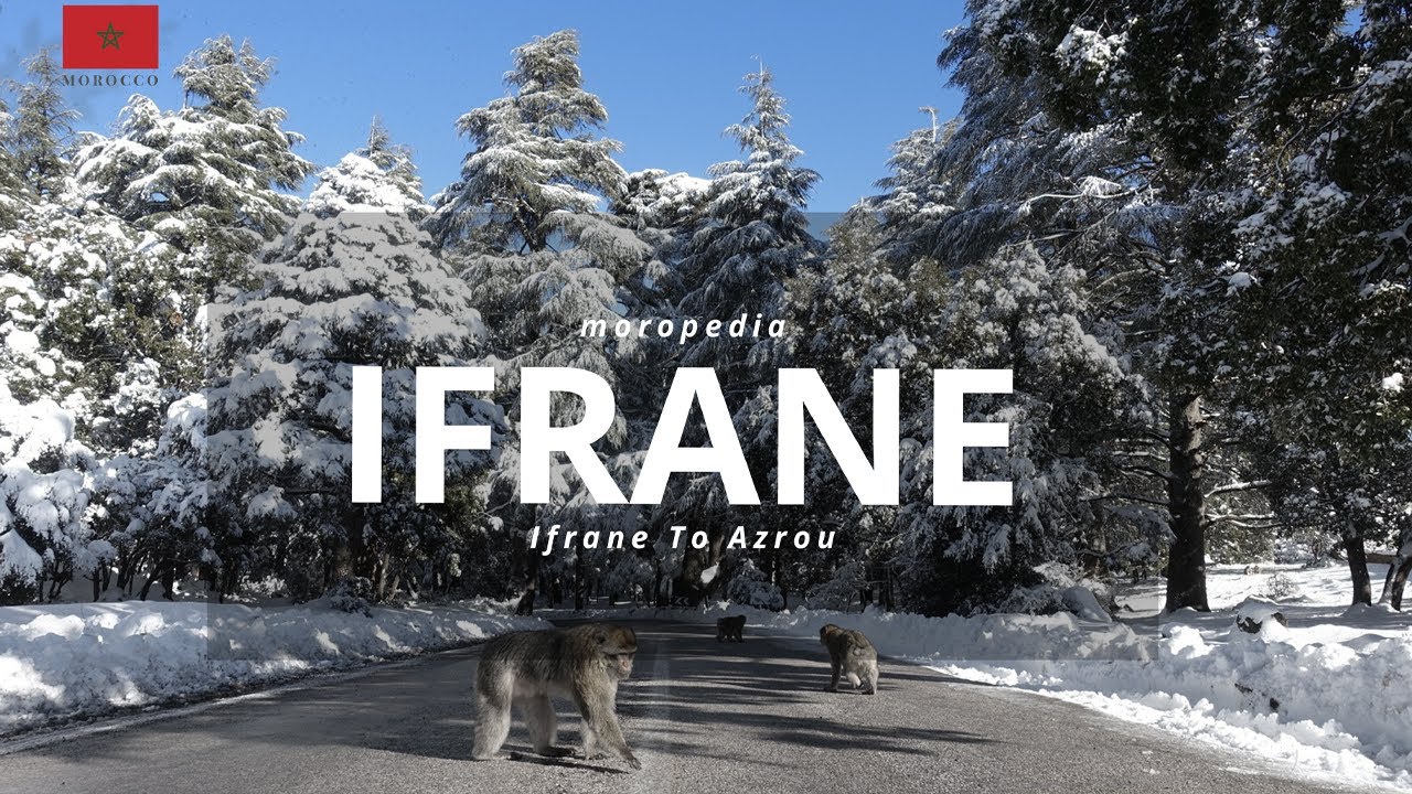 Winter Wonderland | Snow-Covered Drive from Ifrane to Azrou (Moropedia 4K)