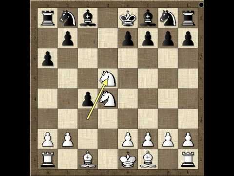 Skakaci su presudili - STEINER vs STIASSNY - Damin gambit # 505