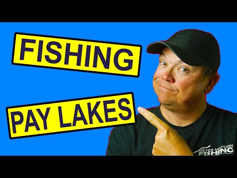 What is a Pay Lake and How it Impacts Catfishing