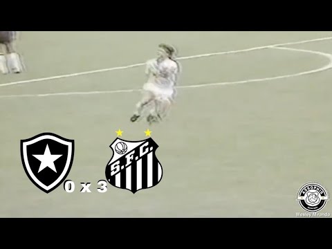 Botafogo 0 x 3 Santos - 23/03/1991 - Melhores momentos - Hat-trick de Paulinho McLaren