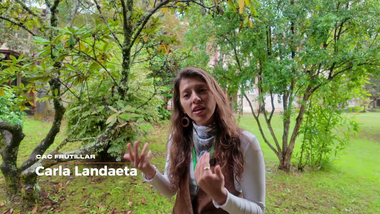 Bosquentrama, observatorio de los bosques y las políticas forestales. Encuentro Nacional 2025