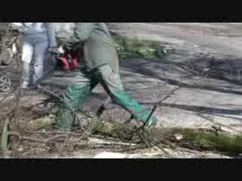 Erichs Einsatz als Forstwart in Orschiv, Ukraine