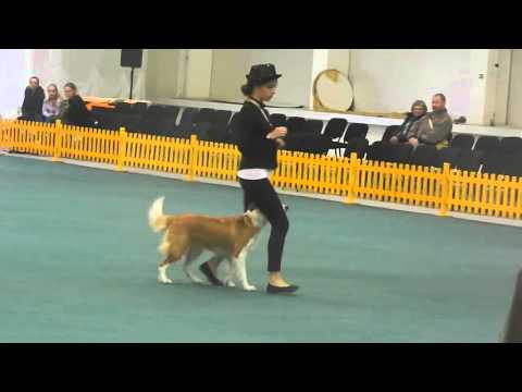MSR dogdancing, 1.miesto-HtM 1