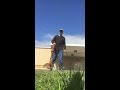 Lawn Tool Vlog Feb 8 2020 Electric B D Weed Eater Overview Demo