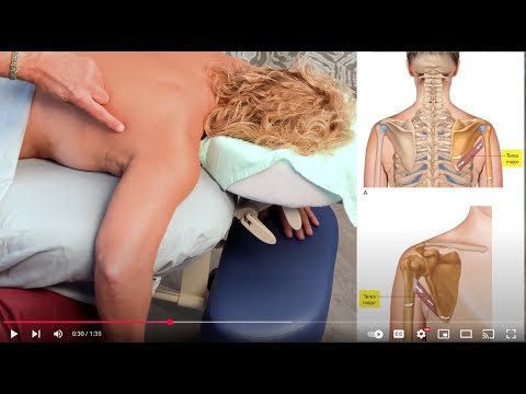Teres Major  One Minute Muscle Palpation