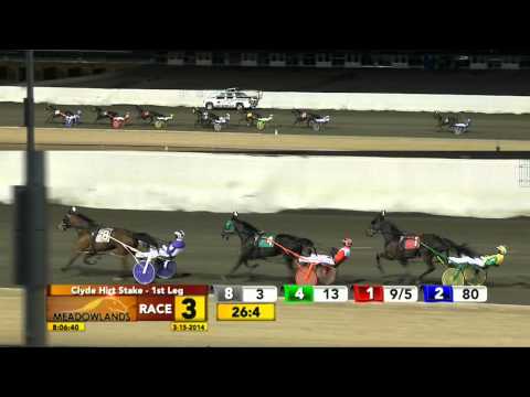 March 15, 2014 - Race 3 - Avatartist