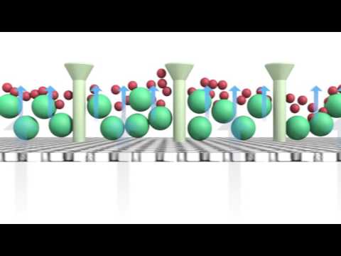 Gravilaud Cimbria GA video