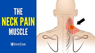 The Neck Pain Muscle (How to Release It for INSTANT RELIEF)
