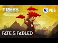 Tree Mythologies Explained Fate Fabled