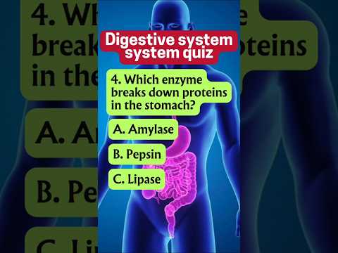 Digestive System Quiz: Can You Answer These 5 Questions?