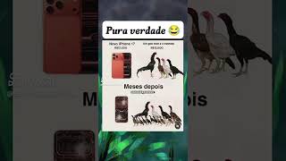Pura Verdade! 🤭😅#shorts #viral #shortvideo #viralvideo #youtubeshorts #funny #comedy #fyp #short #fy