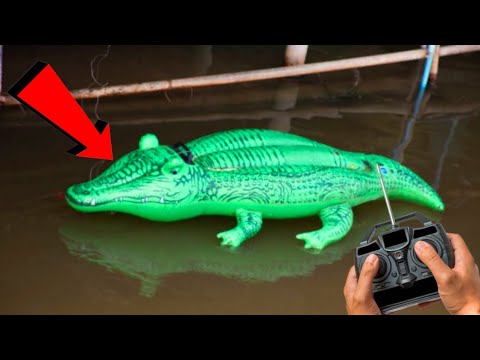 RC Realistic Swimming Crocodile Unboxing & testing - Chatpat toy tv