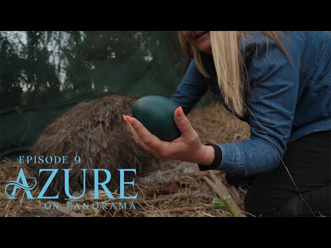 Azure on Panorama | Episode Nine