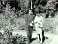 Amr Diab Dehket عمرو دياب ضحكت Amr Diab Dehket عمرو دياب ضحكت