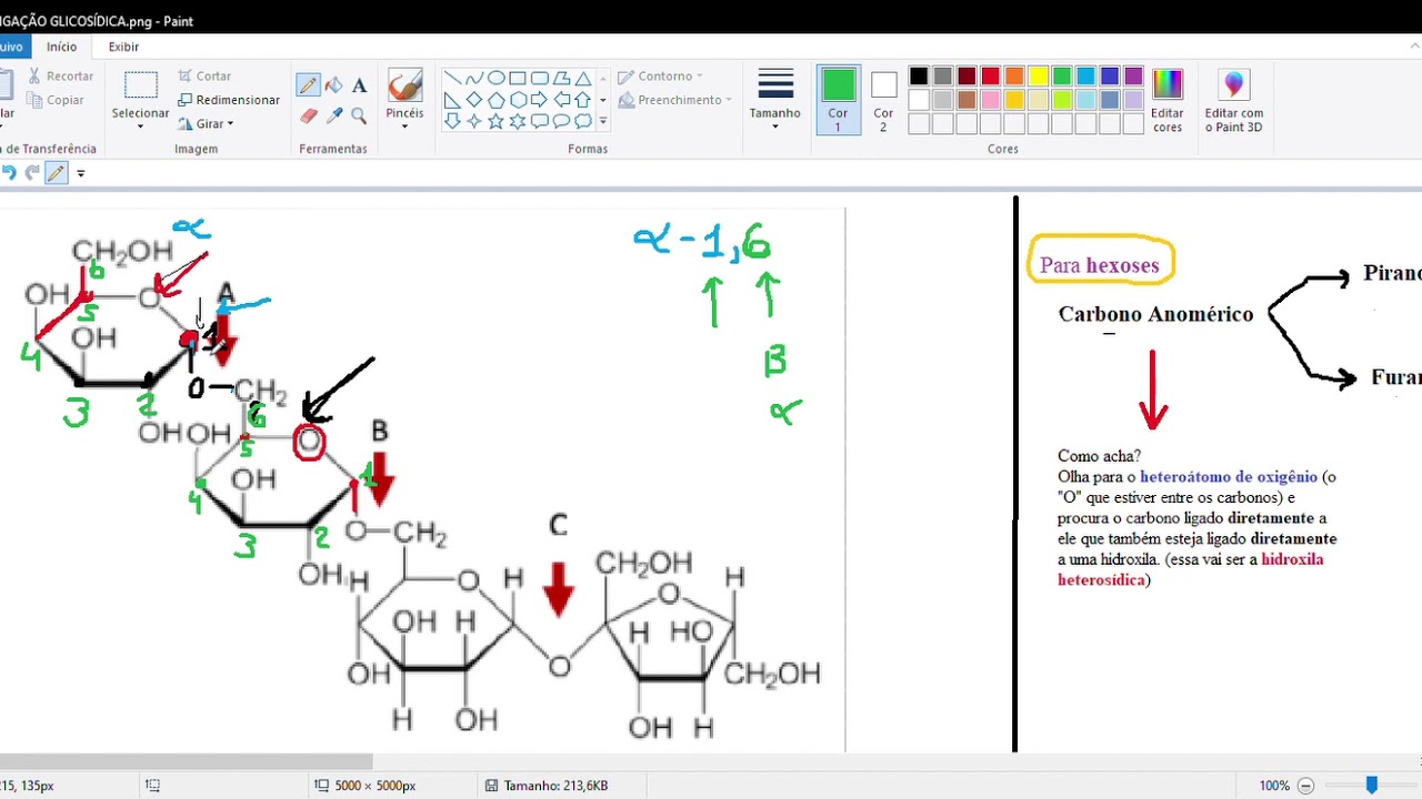 LIGAÇÃO GLICOSÍDICA E ESTRUTURA QUÍMICA DE CARBOIDRATOS (Dicas)