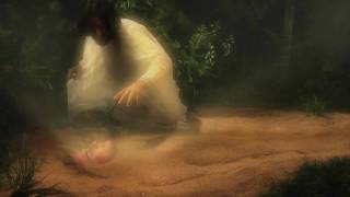 "In the Beginning" Trailer at Sight & Sound Theatres®