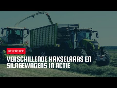 Verschillende hakselaars en silagewagens in actie