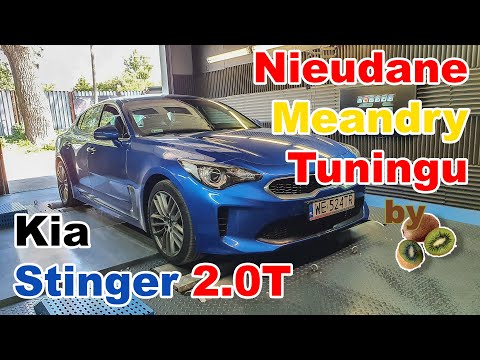 Kivi Racing Factory - Kia Stinger nas pokonała