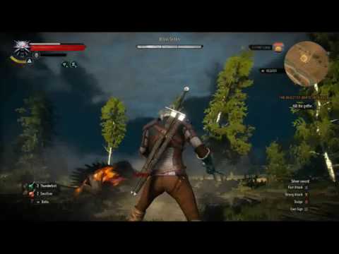The Witcher 3 Wild Hunt Monster Battle:  Royal Griffin