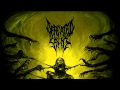 Defeated Sanity - Perspectives *Lyrics Vid* 