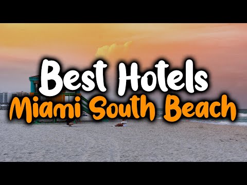 Best Hotels In South Beach Miami - For Families, Couples, Work Trips, Luxury & Budget