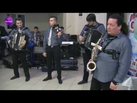 Orkestar OLUJA, Milana Obretkovića. Vlaski splet za početak veselja. Gornjački Dvor- 2016.