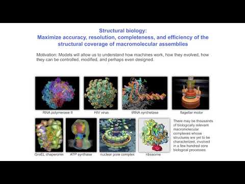 Integrative modeling of biomolecular assembly structures and pathways | Prof. Andrej Sali