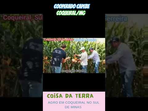 Cooperado Capebe em Coqueiral no Sul de Minas Gerais - Deixe seu Like! Pode compartilhar! OK? 👍👌