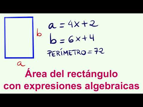 Calculate the area of ​​a rectangle from the perimeter with algebraic expressions