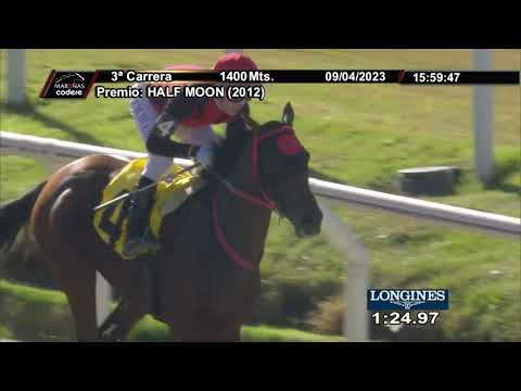 230409 c03 NO VIOLENCE