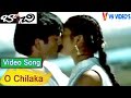 O Chilaka Video Song Bachi Telugu Movie Songs Jagapathi Babu Neelambari Puri V9 Videos
