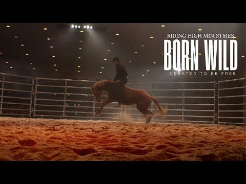 Born Wild Created to be free (Livestream Presentation)