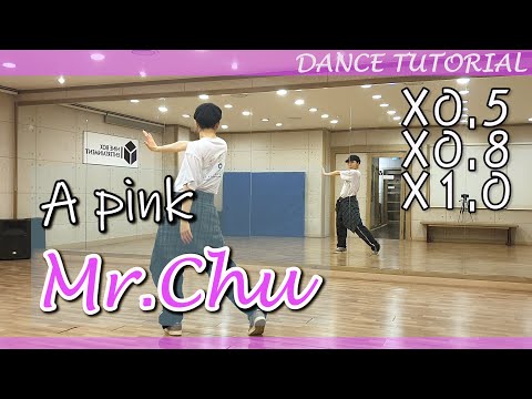 [느리게] Apink (에이핑크) - Mr.Chu 미스터츄 | 안무배우기 Dance Slow Tutorial | 거울모드 MIRROR MODE