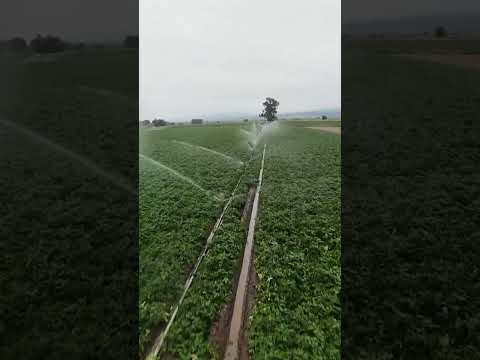 SUR DE TUCUMAN #cochamolle #lossarmientos #latipa #montebello #naturaleza #djiavata2 #dji