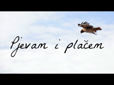 Mate Bulić - Pjevam i plačem (Official lyric video)