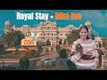 Nahargarh Ranthambore Palace Hotel Royal Stay Unique Experience Honest Review