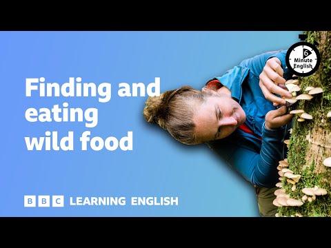 【聽Podcast學英文】路邊的植物能不能吃？BBC 揭開野外採集的真相！ (Finding and eating wild food ⏲️ 6 Minute English)