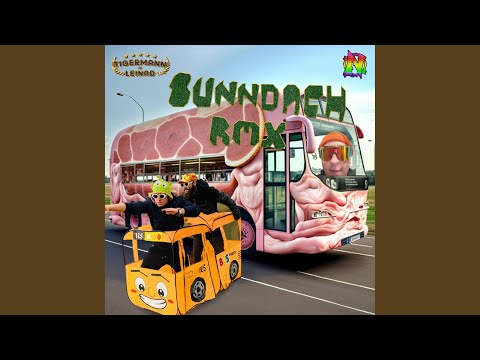 Sunndach Hitech (feat. Tigermann & Leinad) (Rmx)