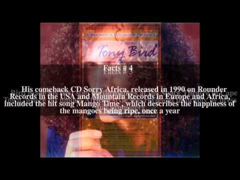 Tony Bird (singer-songwriter) Top # 5 Facts