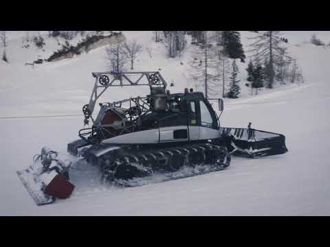 Vogel - Snowgrooming