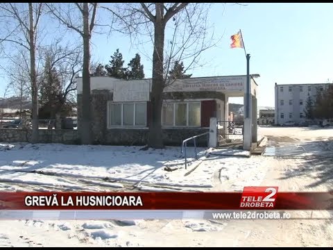 GREVĂ MINIERĂ LA HUSNICIOARA