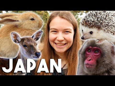 Japan's Animals! (Cute Animal Japan Travel Vlog)