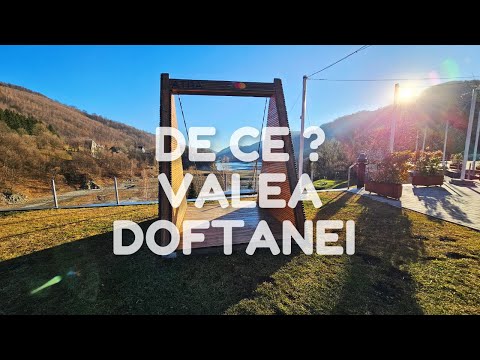 CARE-I TREABA CU VALEA DOFTANEI ? | INCEPUTUL